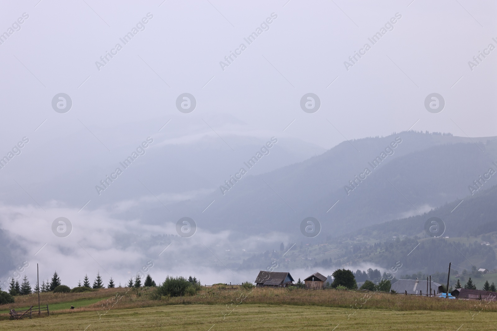 Photo of Picturesque view of beautiful mountains covered with fog