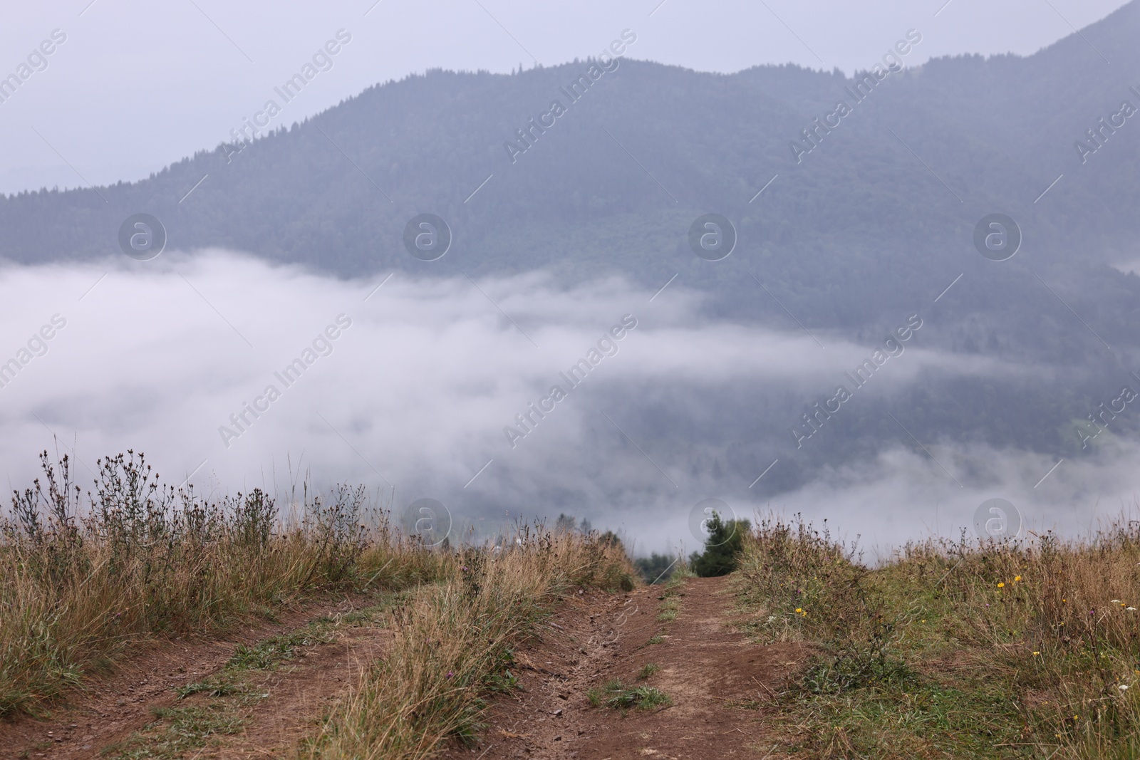 Photo of Picturesque view of beautiful mountains covered with fog