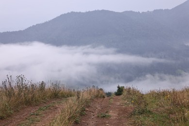 Picturesque view of beautiful mountains covered with fog