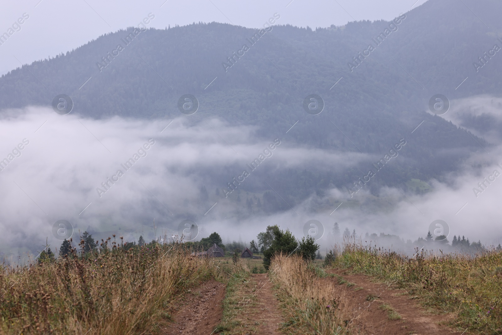 Photo of Picturesque view of beautiful mountains covered with fog