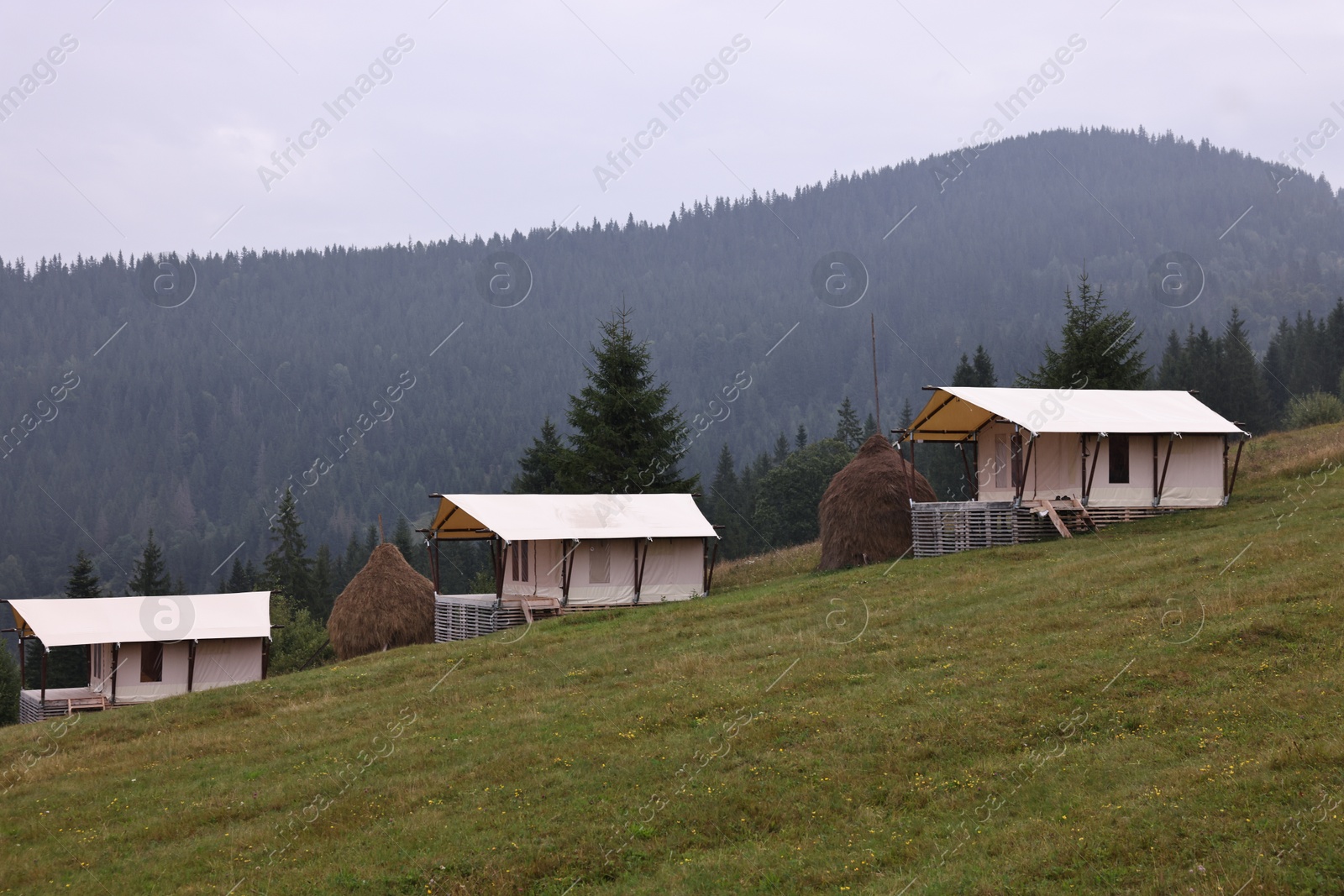 Photo of Green forest and many houses in mountains. Glamping site