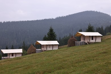 Green forest and many houses in mountains. Glamping site