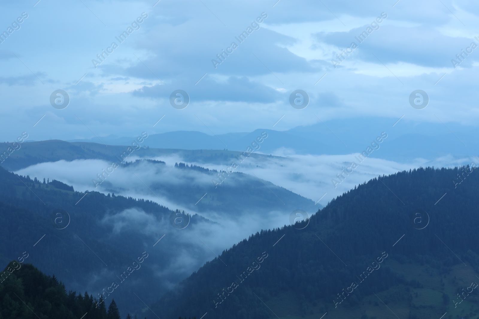 Photo of Picturesque view of beautiful mountains covered with fog