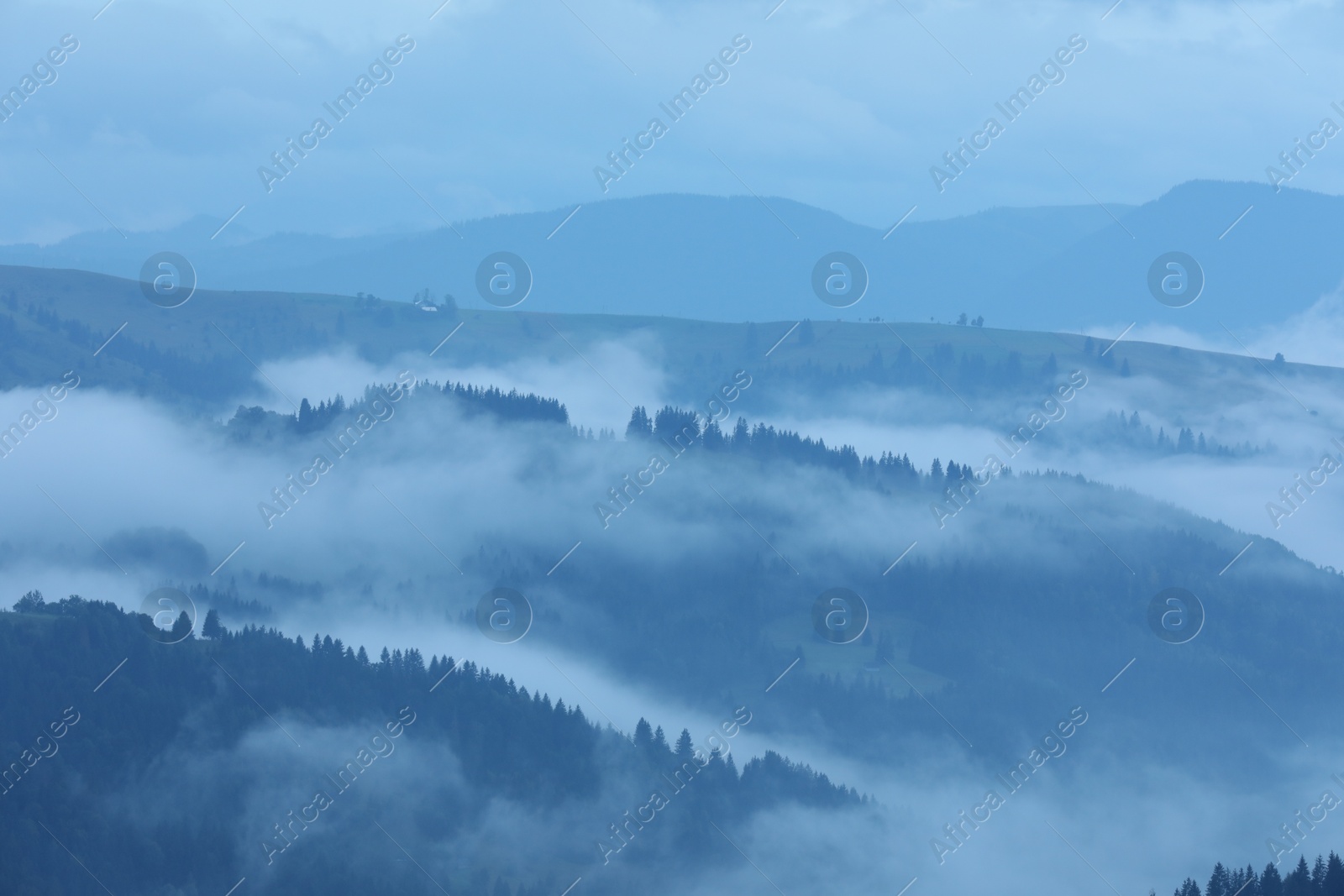 Photo of Picturesque view of beautiful mountains covered with fog