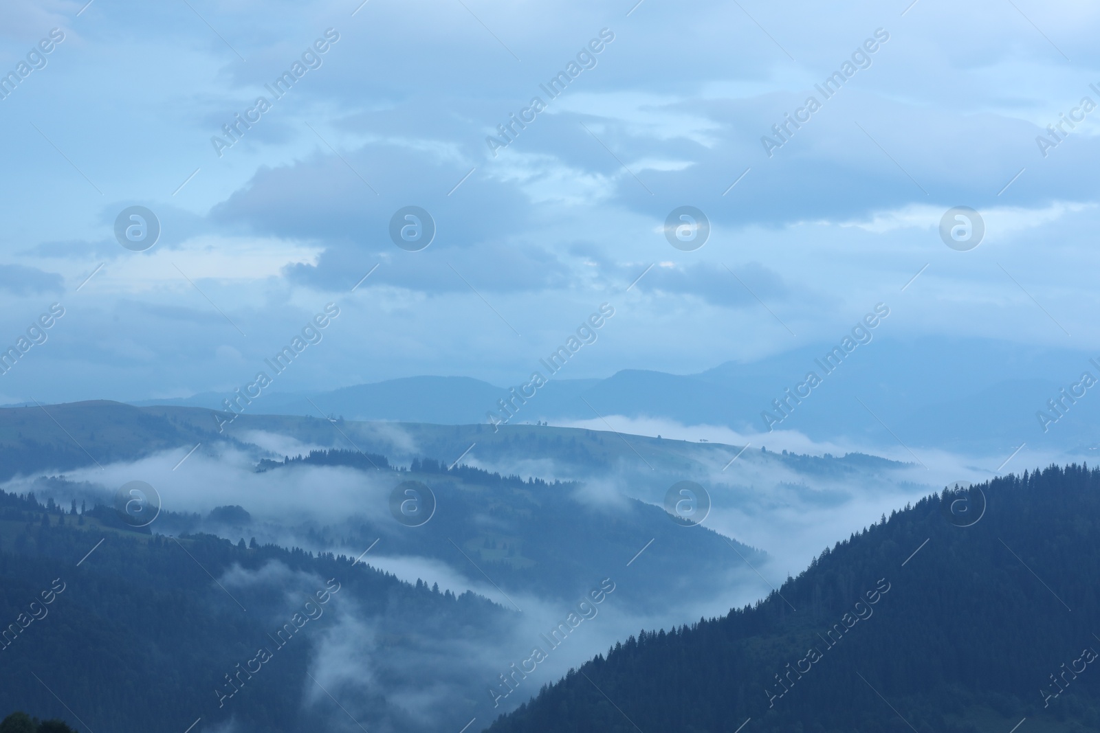 Photo of Picturesque view of beautiful mountains covered with fog