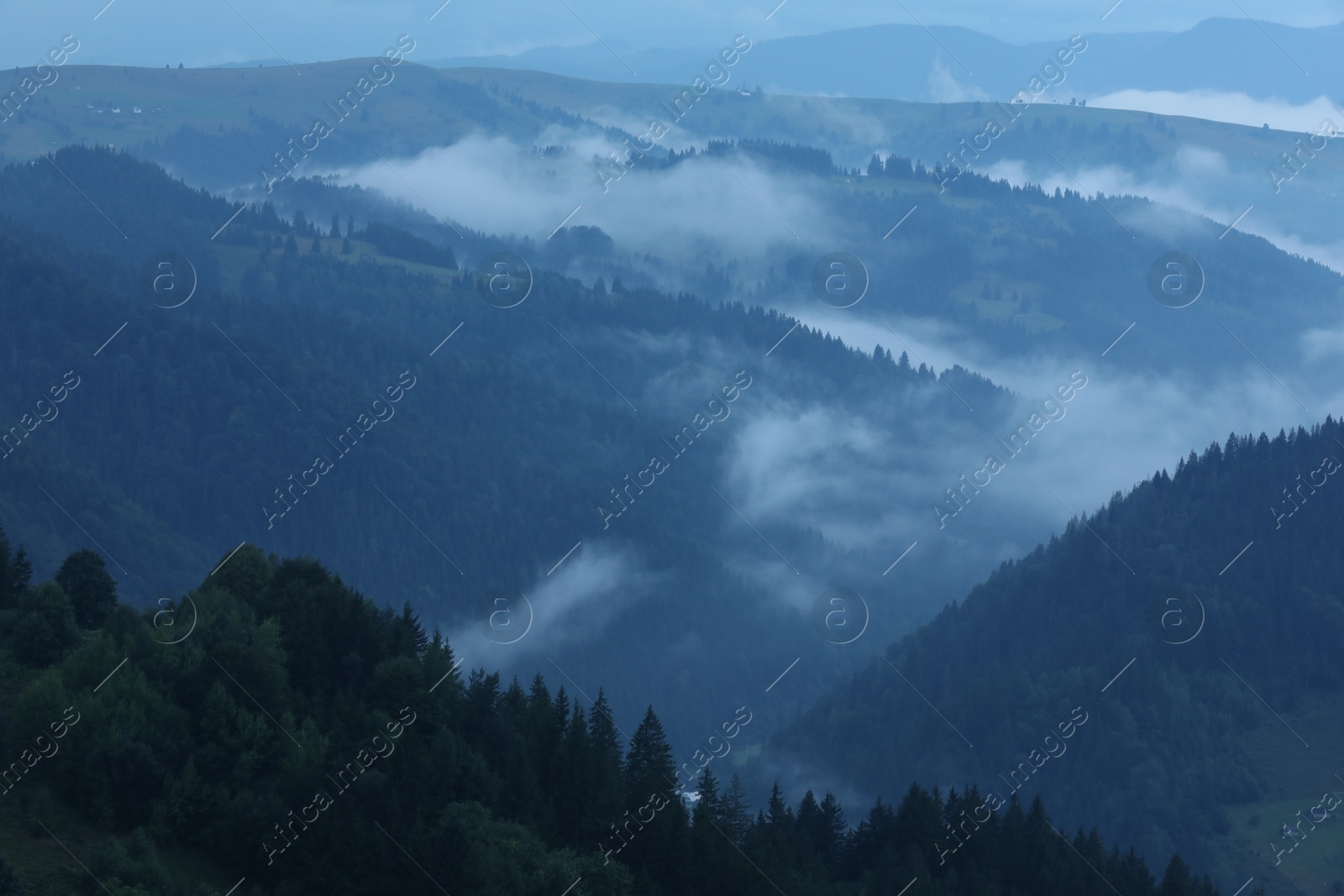 Photo of Picturesque view of beautiful mountains covered with fog