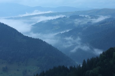 Picturesque view of beautiful mountains covered with fog