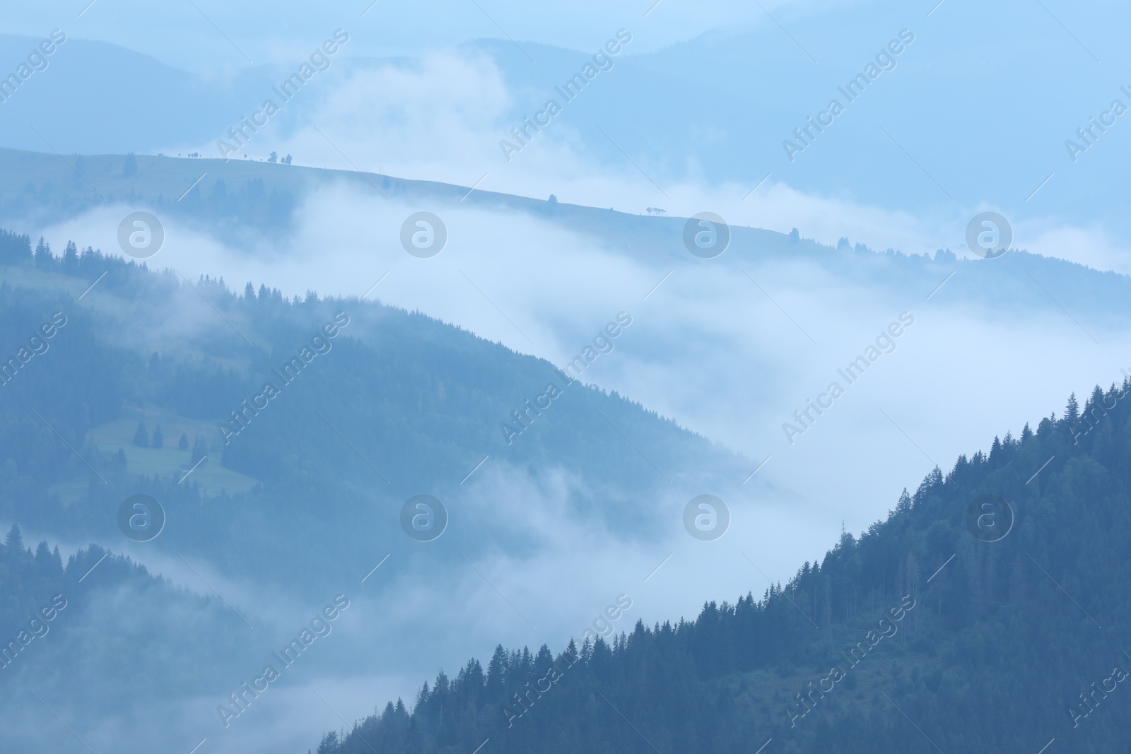 Photo of Picturesque view of beautiful mountains covered with fog