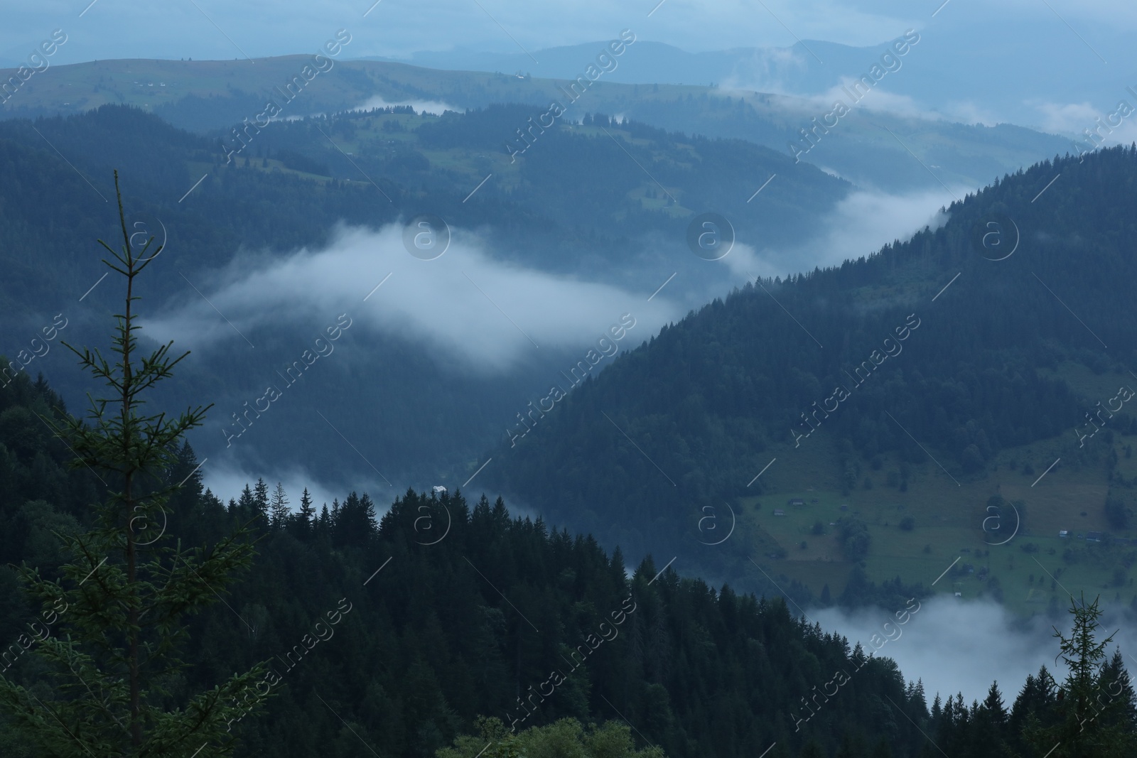 Photo of Picturesque view of beautiful mountains covered with fog