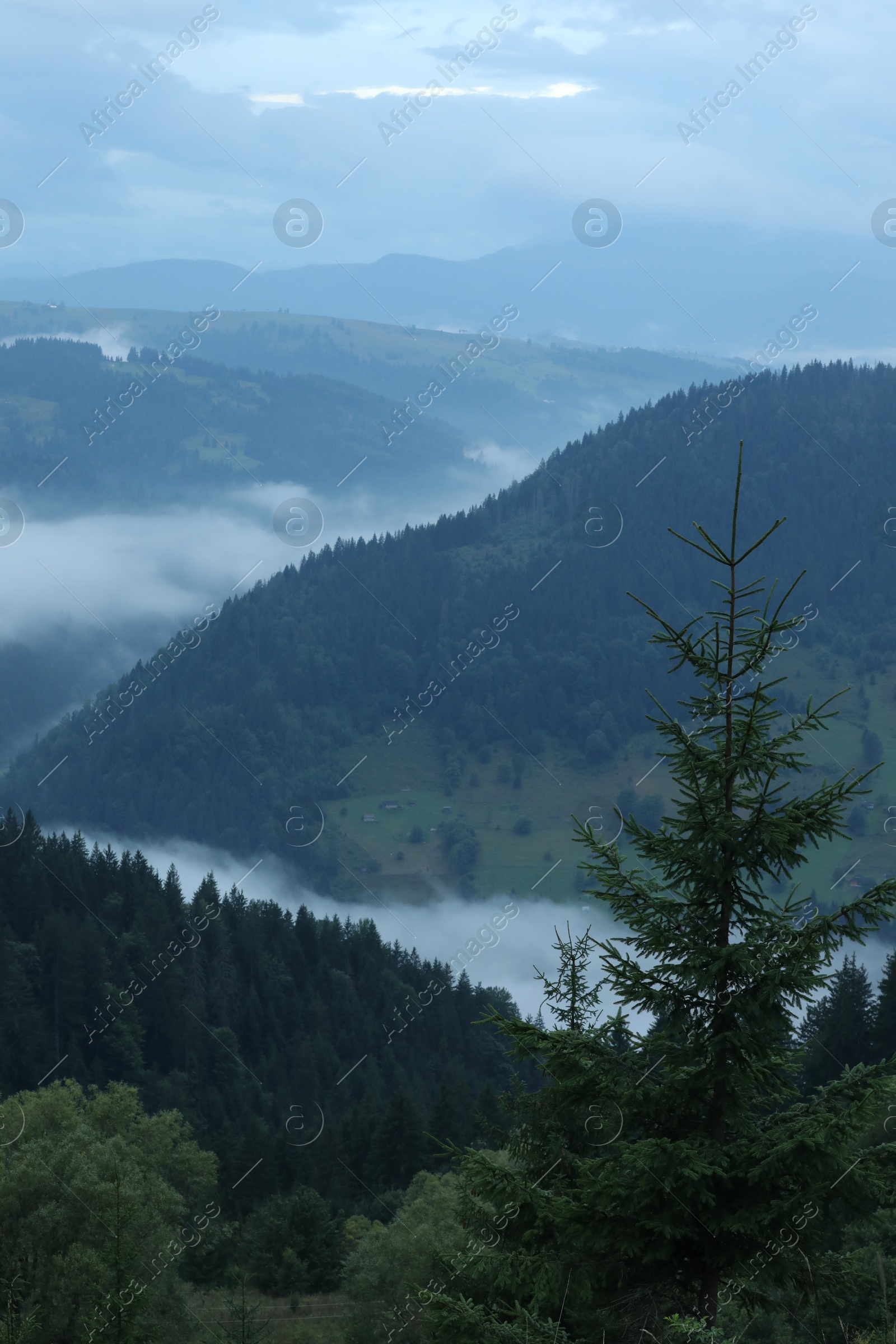 Photo of Picturesque view of beautiful mountains covered with fog