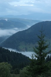 Picturesque view of beautiful mountains covered with fog