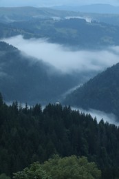 Photo of Picturesque view of beautiful mountains covered with fog