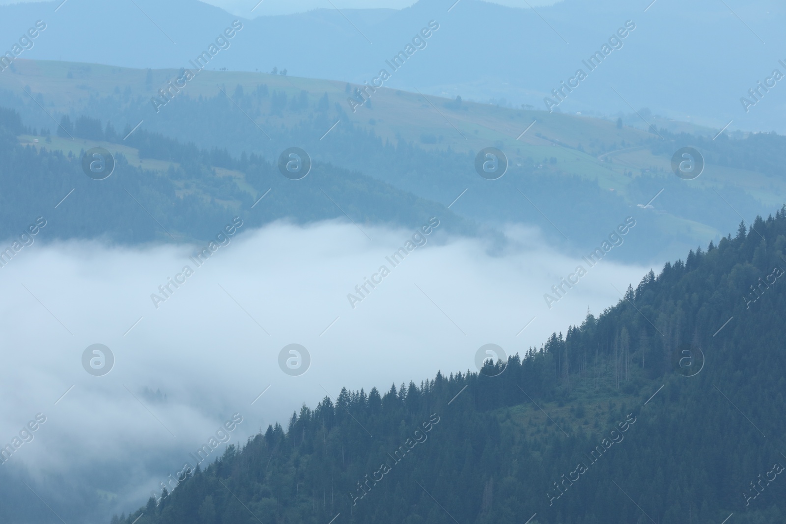 Photo of Picturesque view of beautiful mountains covered with fog