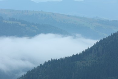 Picturesque view of beautiful mountains covered with fog