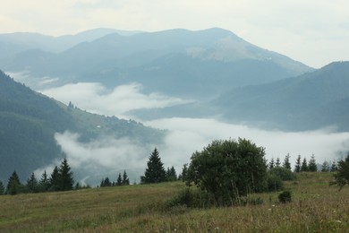 Photo of Picturesque view of beautiful mountains covered with fog