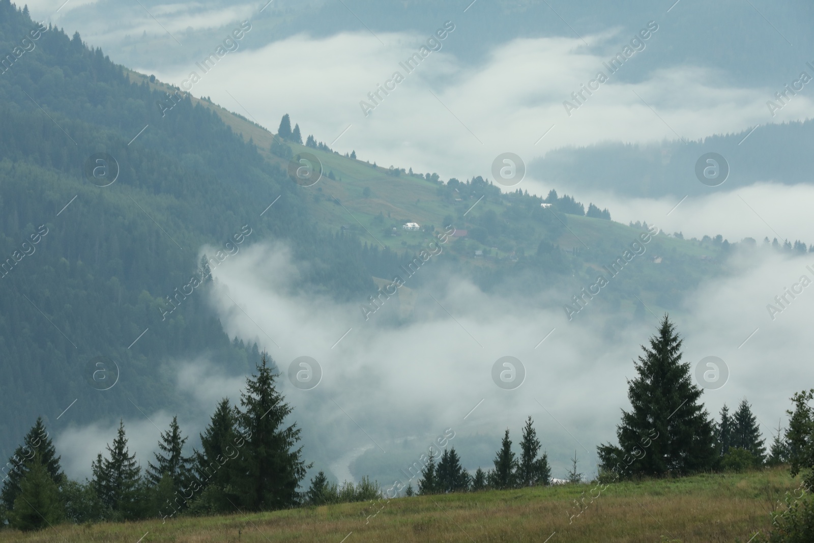 Photo of Picturesque view of beautiful mountains covered with fog