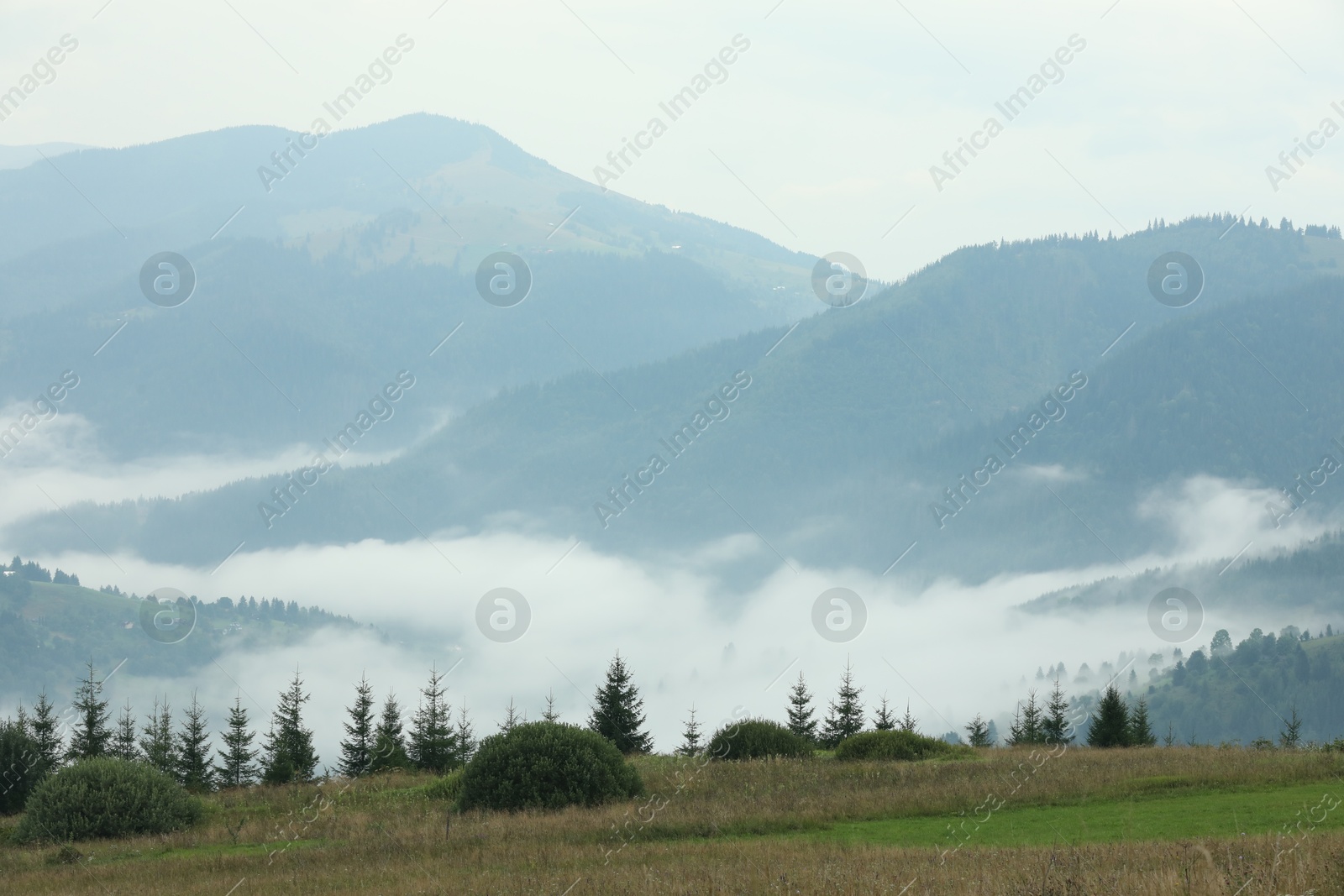 Photo of Picturesque view of beautiful mountains covered with fog