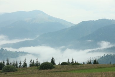 Picturesque view of beautiful mountains covered with fog