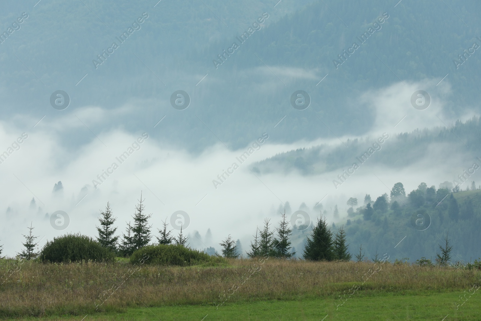 Photo of Picturesque view of beautiful mountains covered with fog