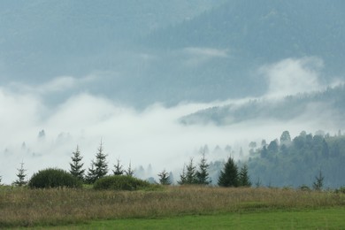 Picturesque view of beautiful mountains covered with fog