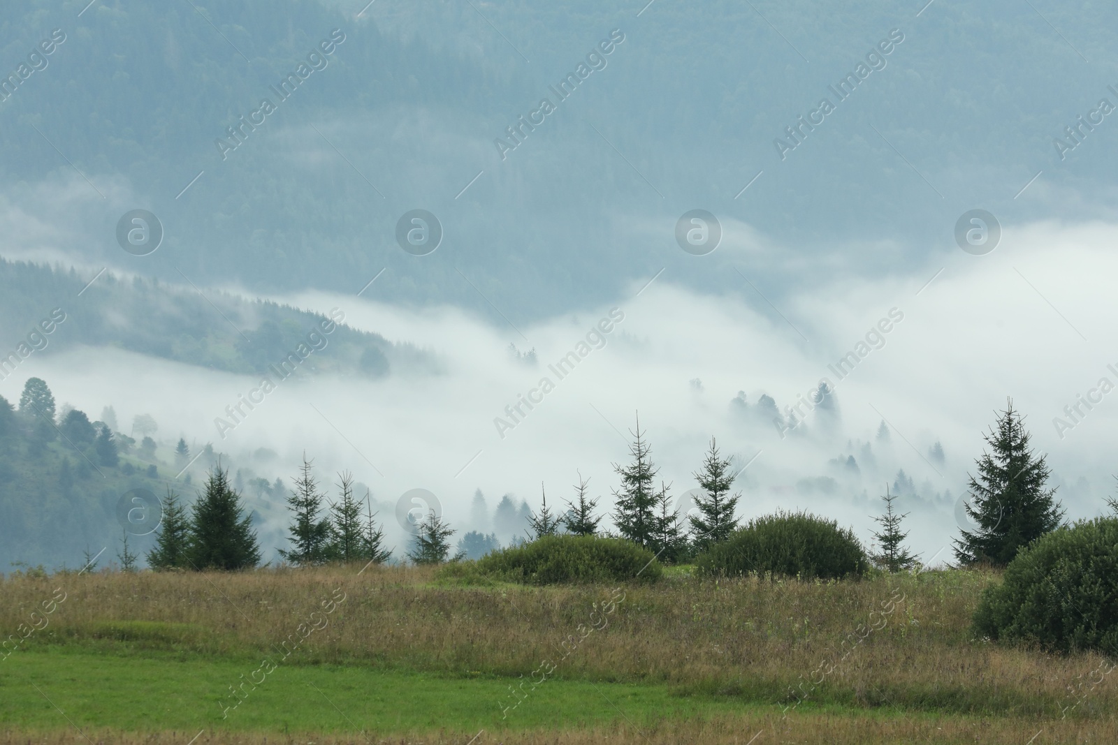 Photo of Picturesque view of beautiful mountains covered with fog