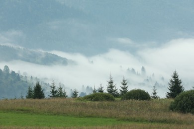 Picturesque view of beautiful mountains covered with fog