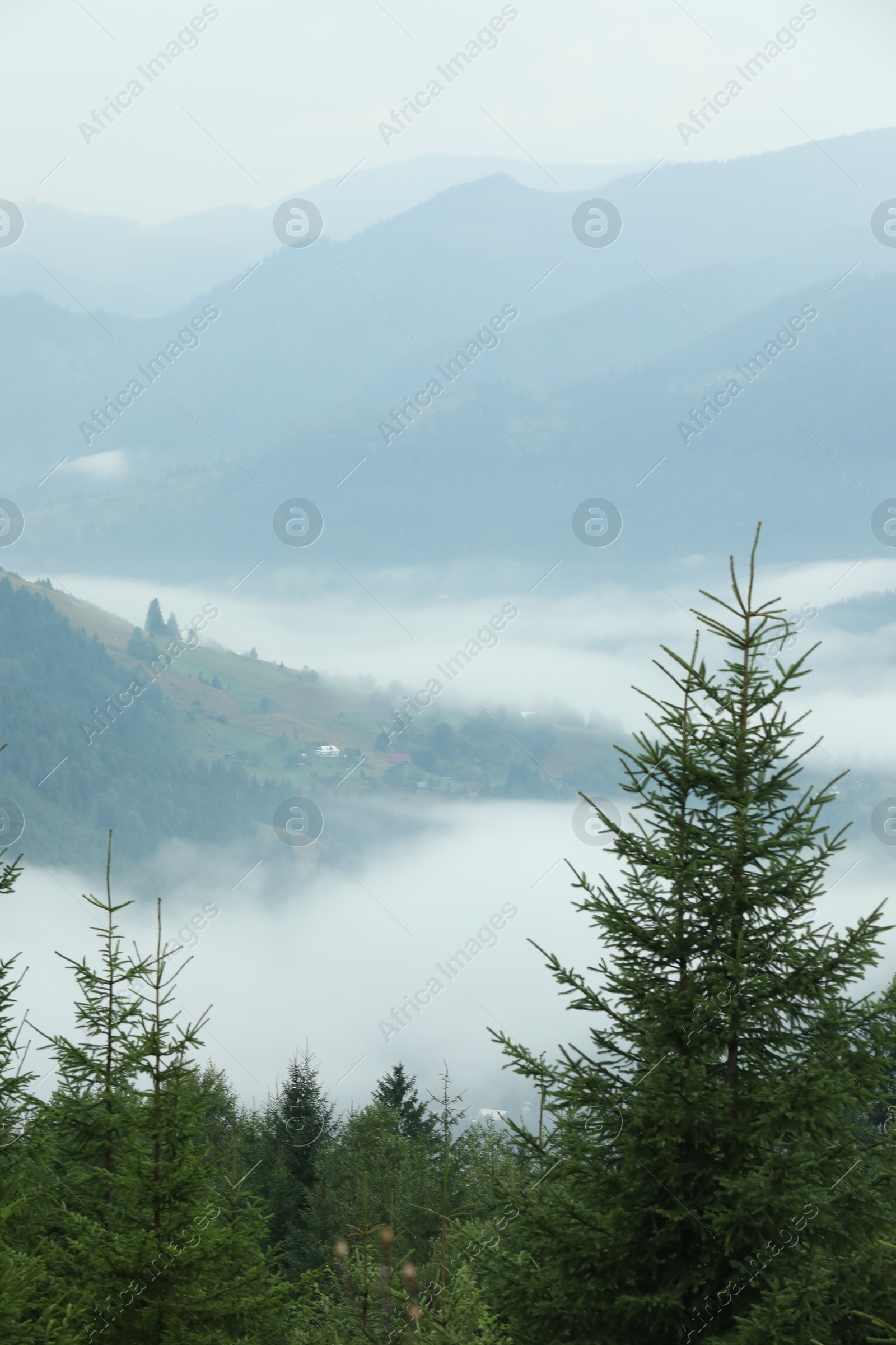 Photo of Picturesque view of beautiful mountains covered with fog