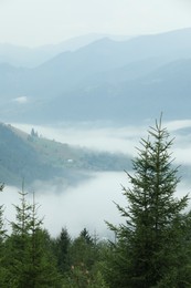 Picturesque view of beautiful mountains covered with fog