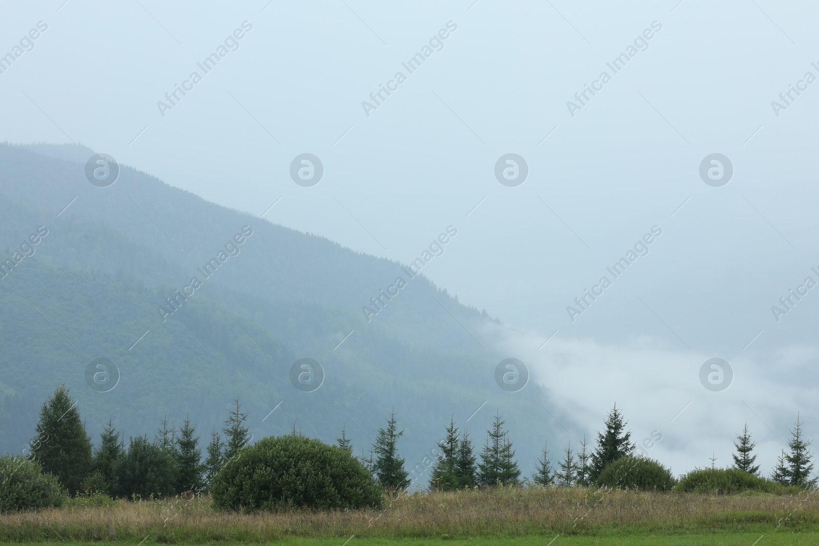 Photo of Picturesque view of beautiful mountains covered with fog