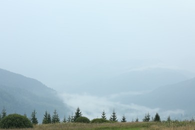 Picturesque view of beautiful mountains covered with fog