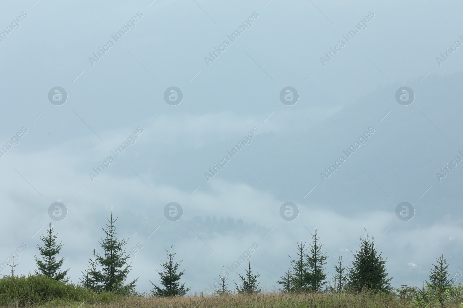 Photo of Picturesque view of beautiful mountains covered with fog