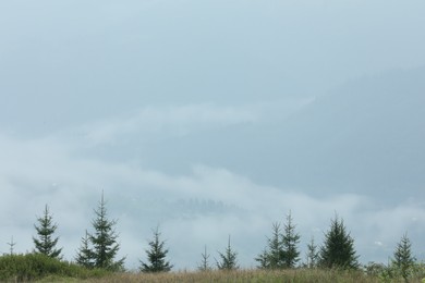 Photo of Picturesque view of beautiful mountains covered with fog