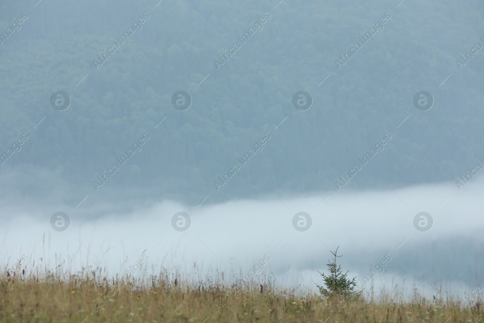 Photo of Picturesque view of beautiful mountains covered with fog