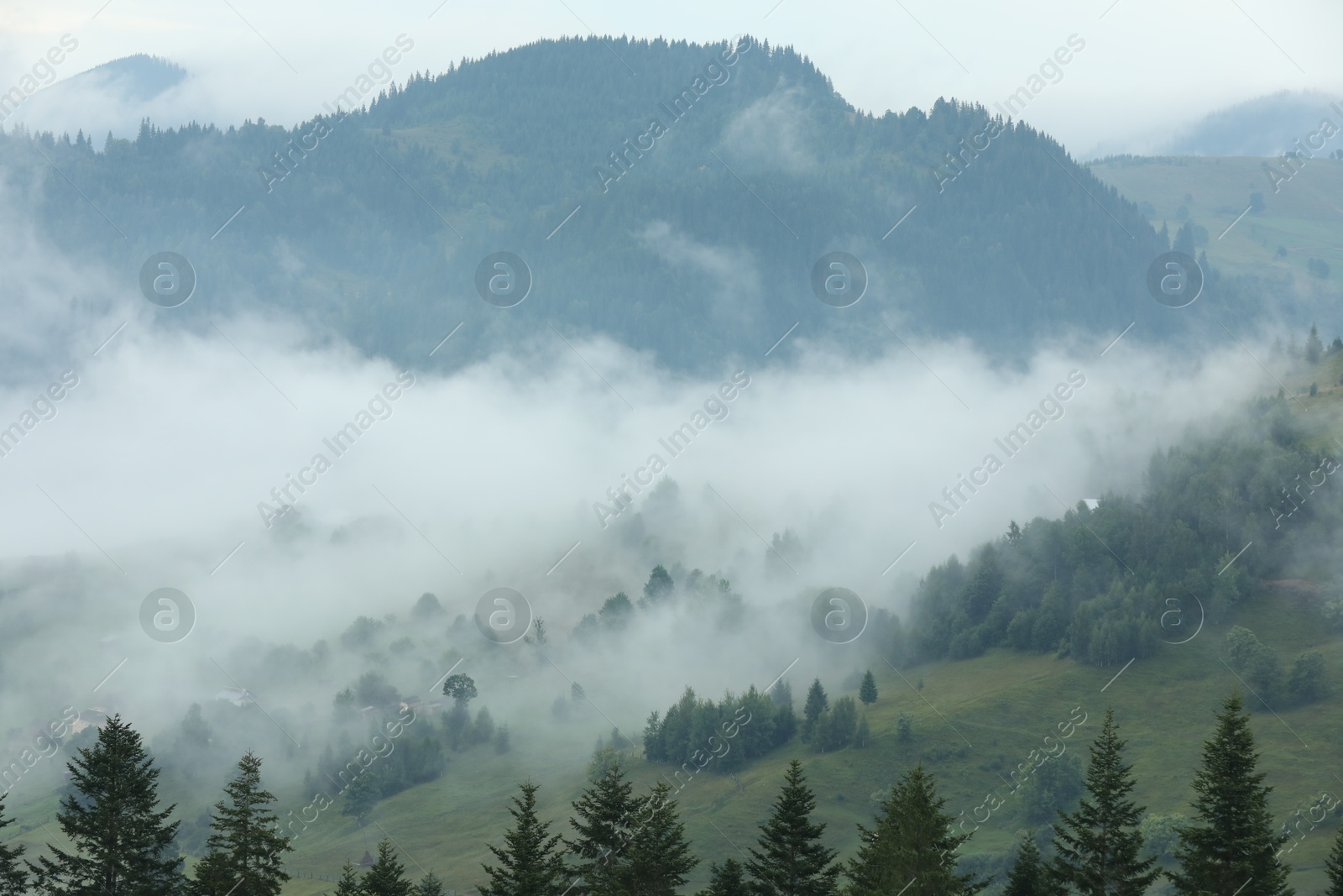 Photo of Picturesque view of beautiful mountains covered with fog