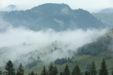 Photo of Picturesque view of beautiful mountains covered with fog