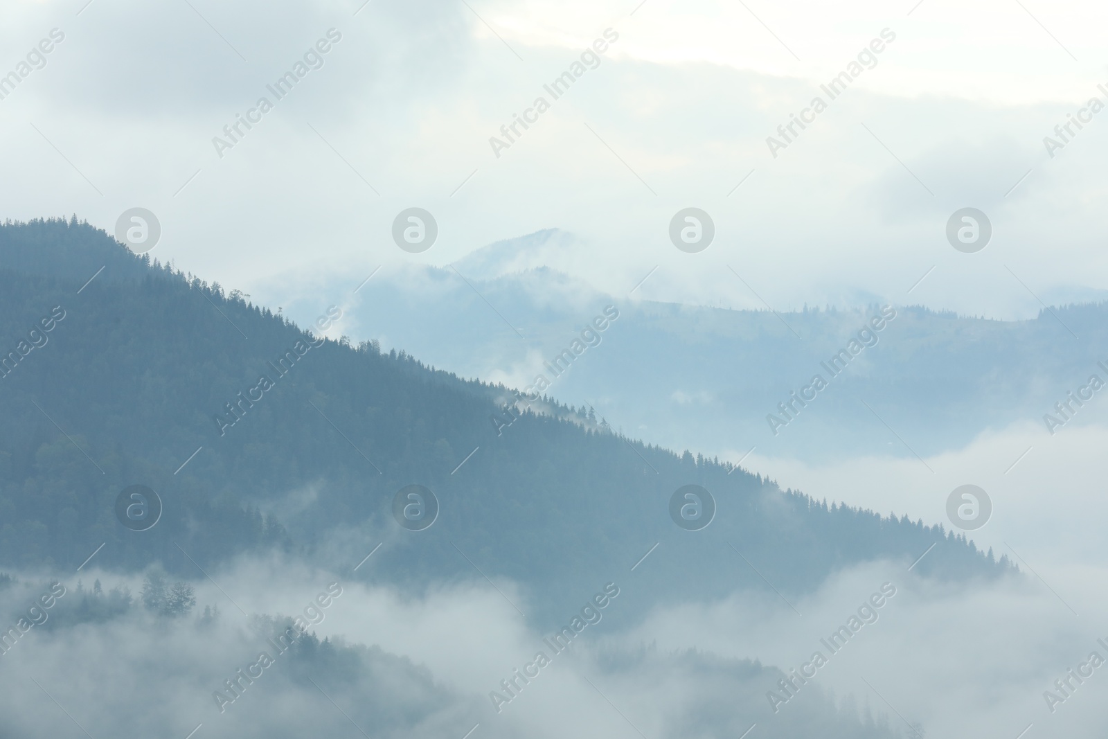 Photo of Picturesque view of beautiful mountains covered with fog