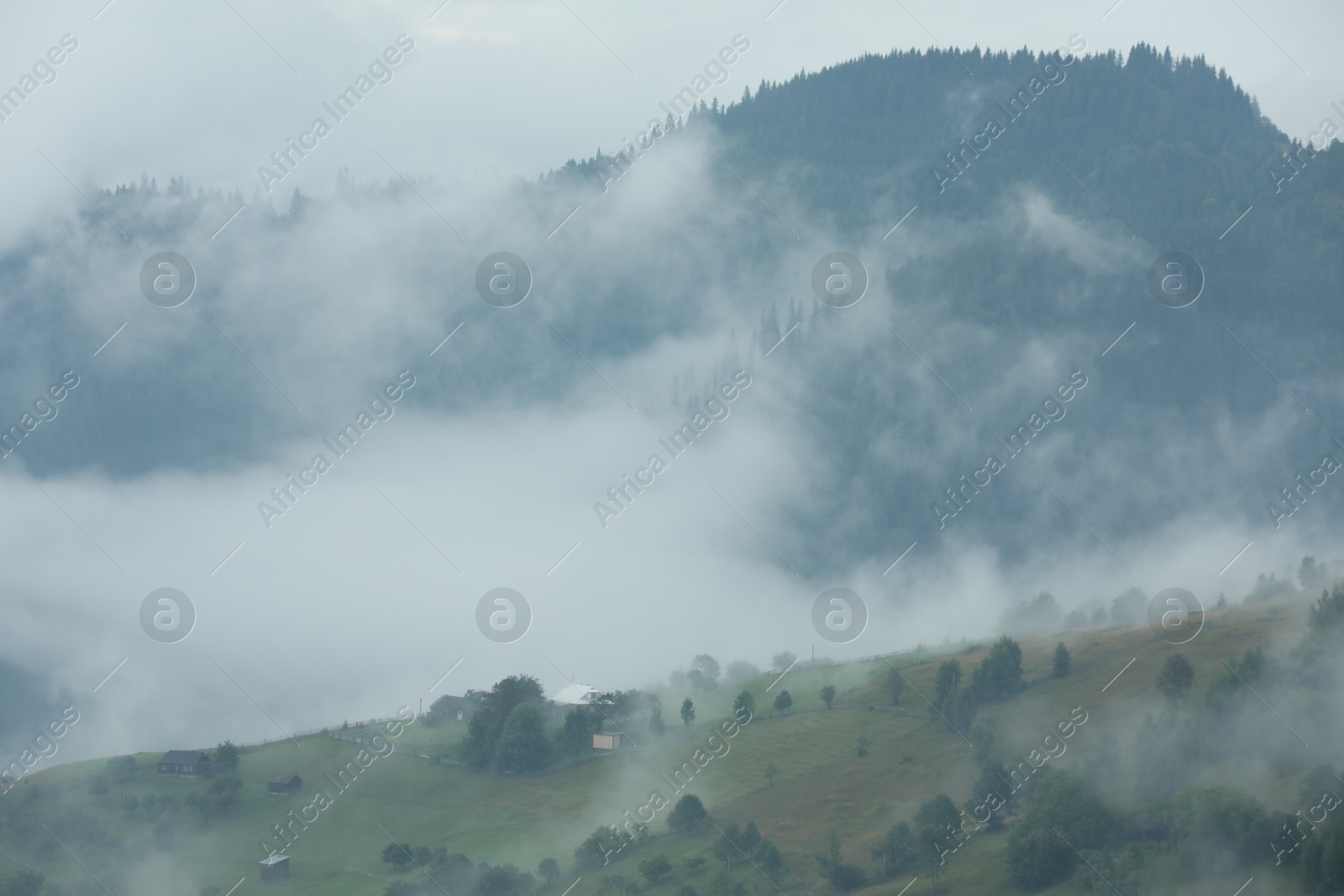 Photo of Picturesque view of beautiful mountains covered with fog