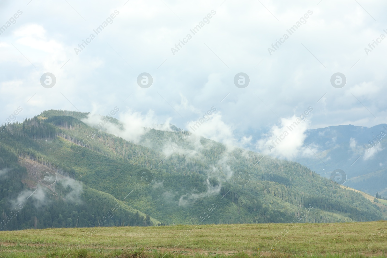 Photo of Picturesque view of beautiful mountains covered with fog