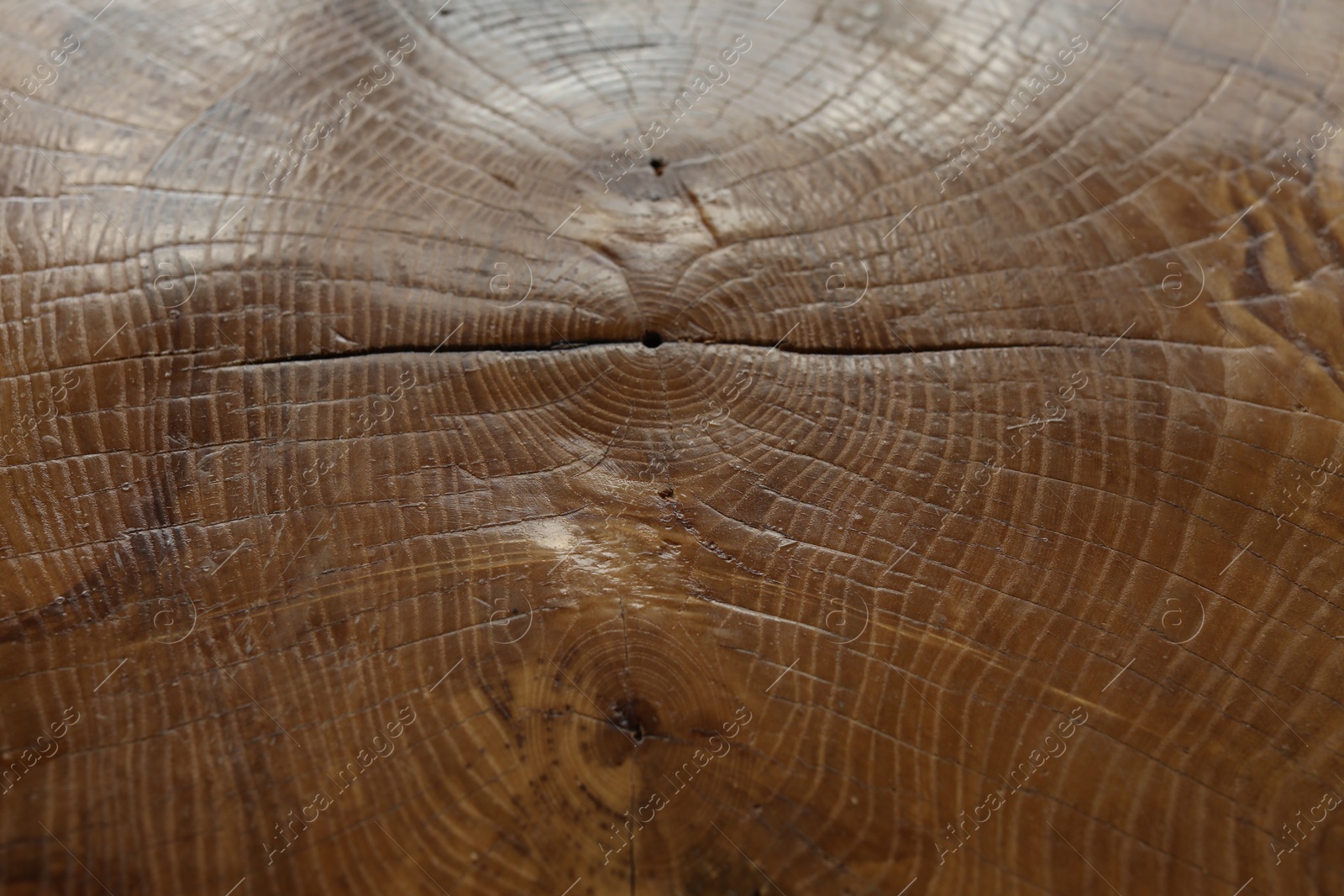 Photo of Texture of wood as background, top view