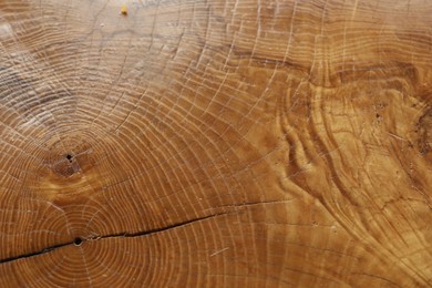 Photo of Texture of wood as background, top view