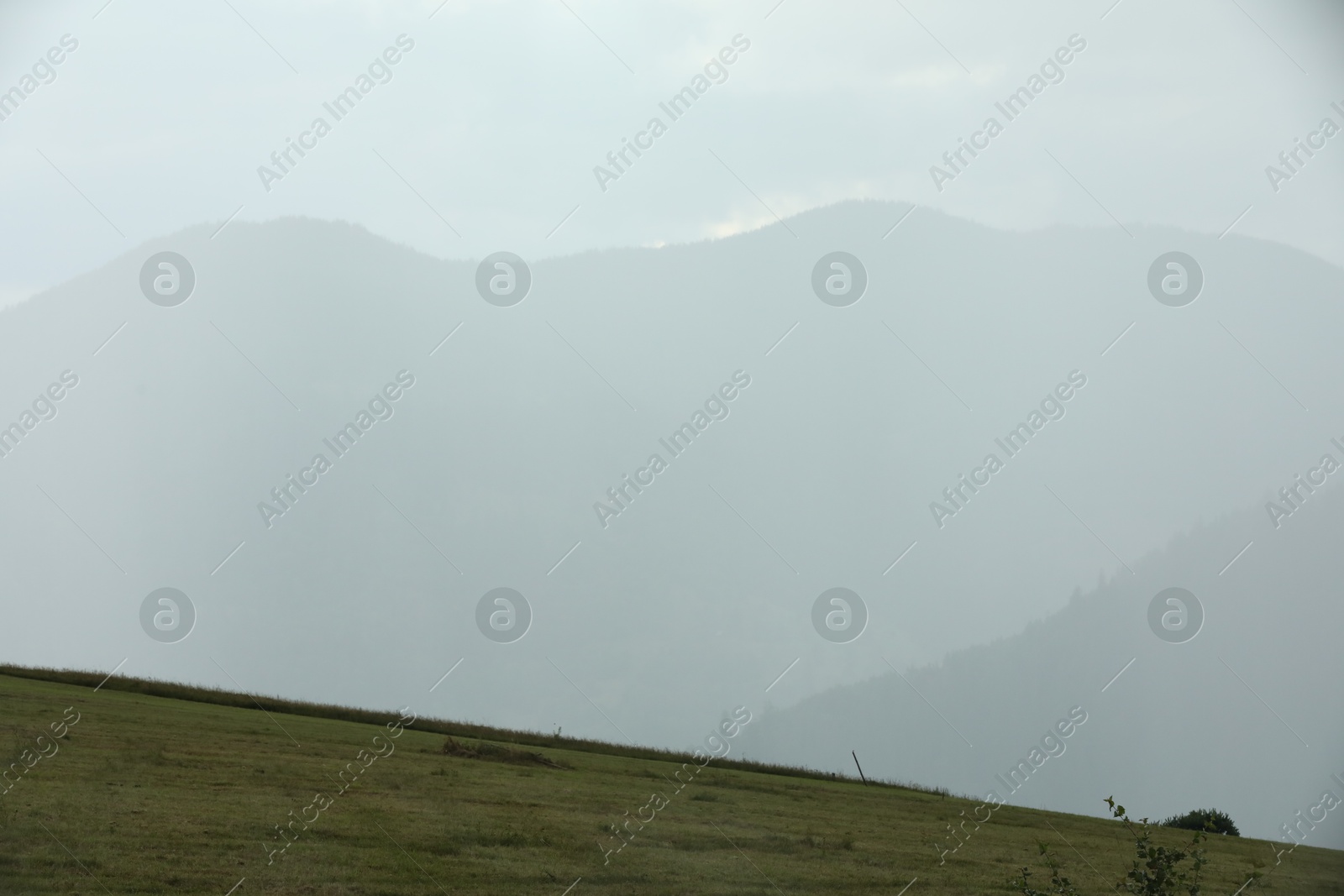 Photo of Picturesque view of beautiful mountains covered with fog