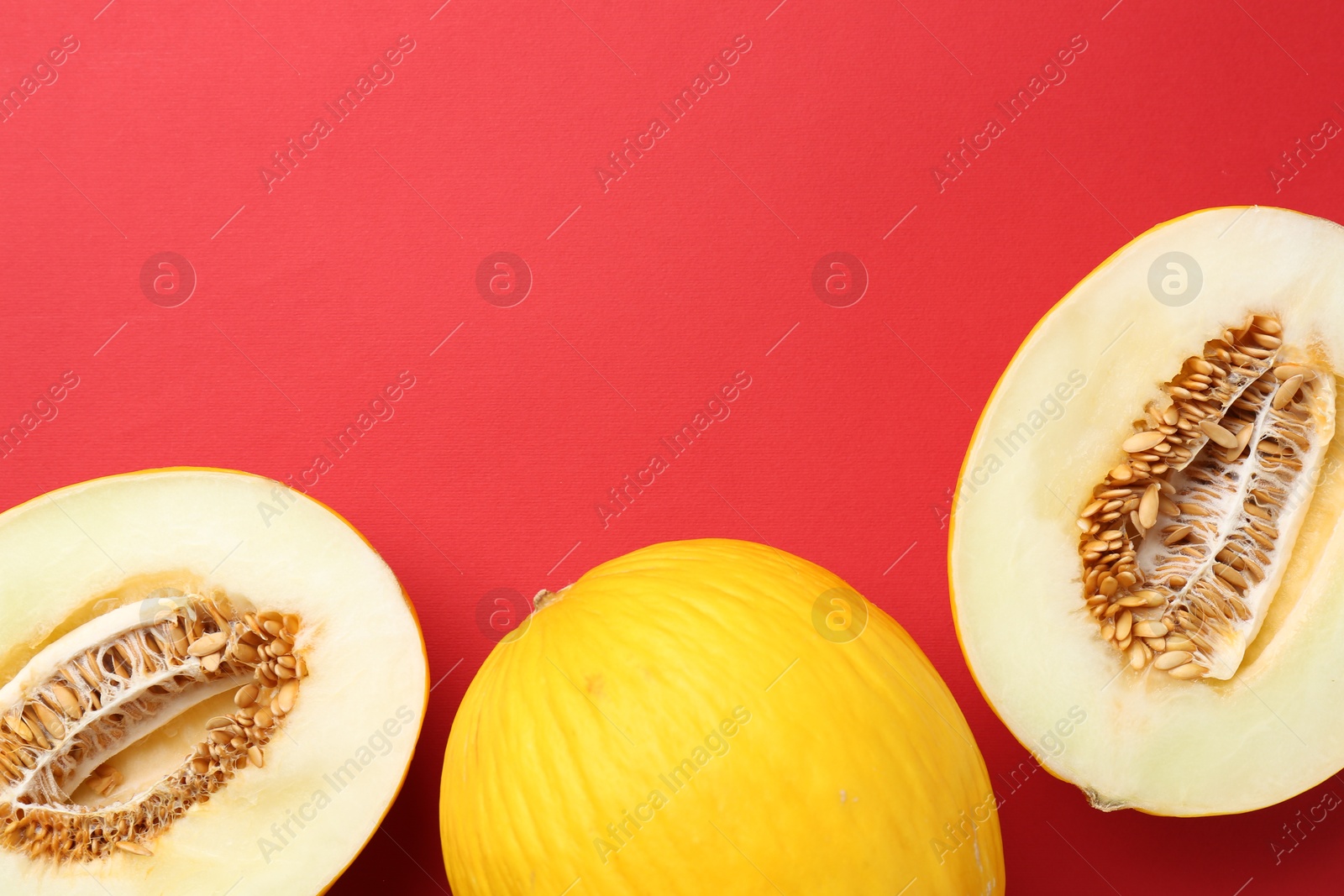 Photo of Whole and halves of fresh melon on red background, flat lay. Space for text