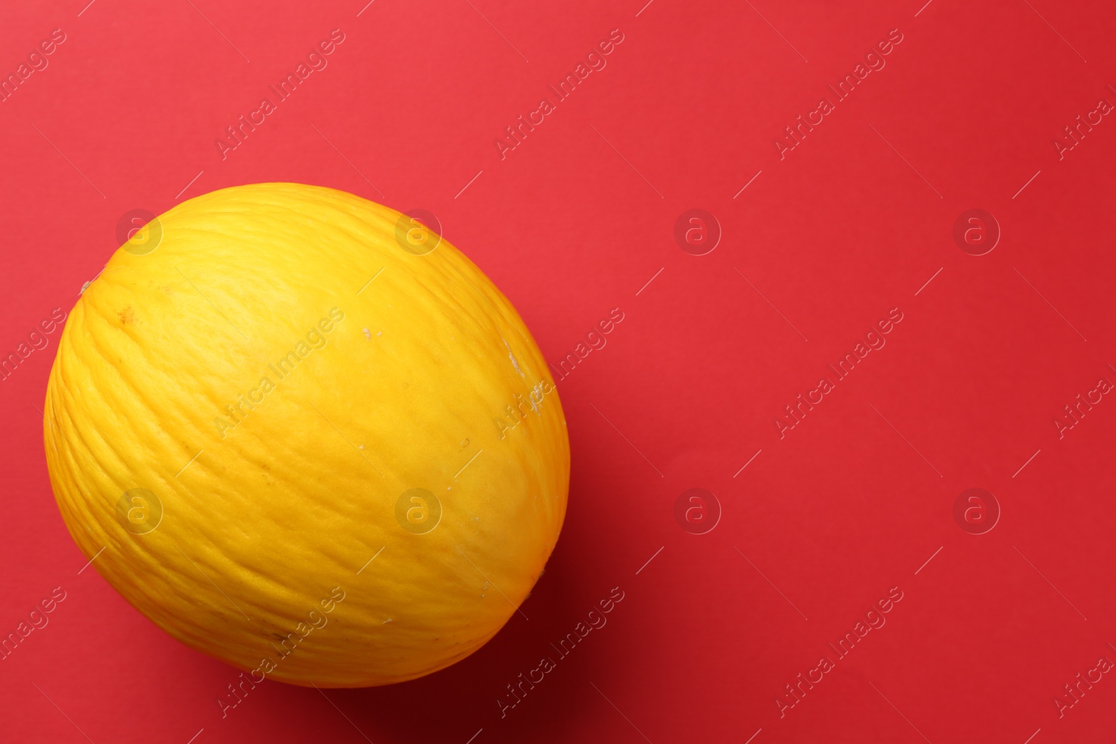 Photo of One fresh melon on red background, top view. Space for text