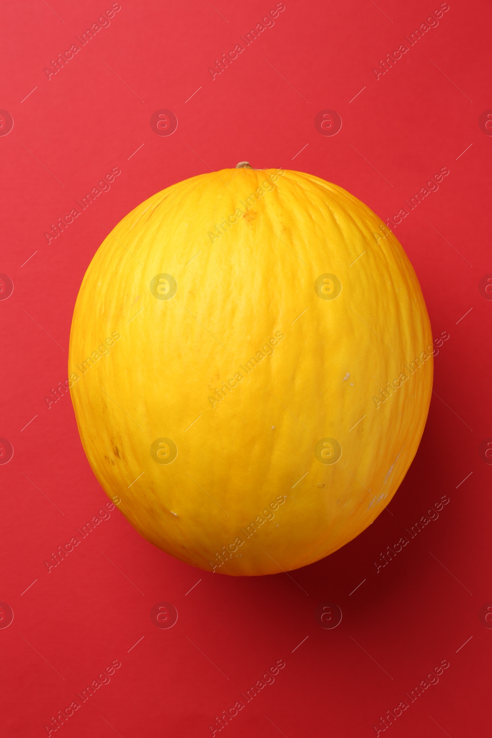 Photo of One fresh melon on red background, top view