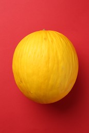 One fresh melon on red background, top view