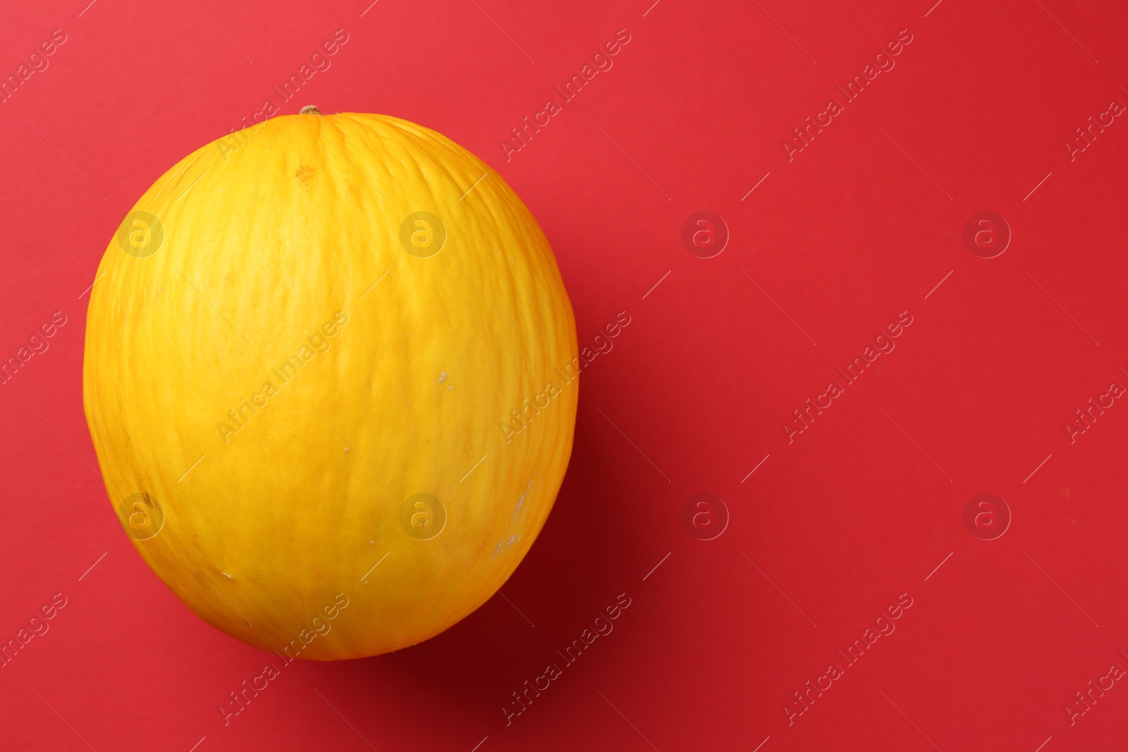 Photo of One fresh melon on red background, top view. Space for text