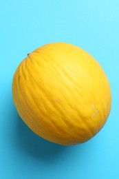 One fresh melon on light blue background, top view