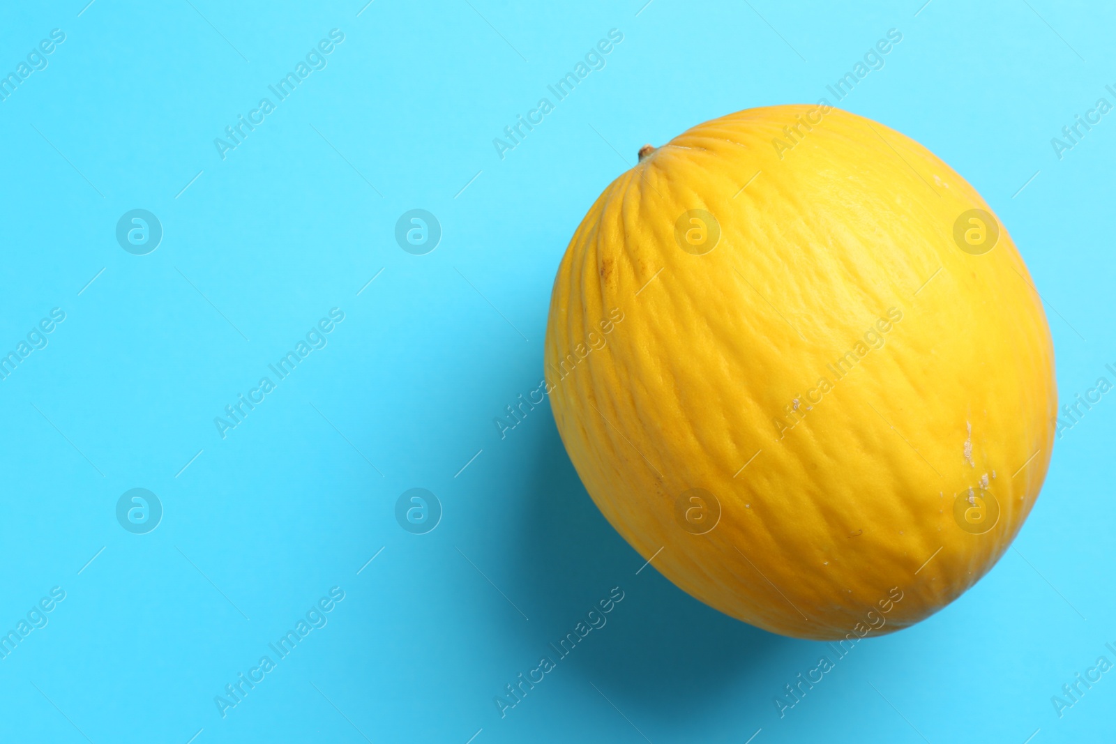 Photo of One fresh melon on light blue background, top view. Space for text