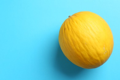 One fresh melon on light blue background, top view. Space for text