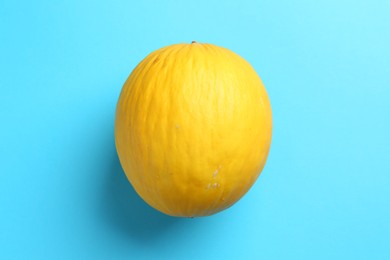 One fresh melon on light blue background, top view